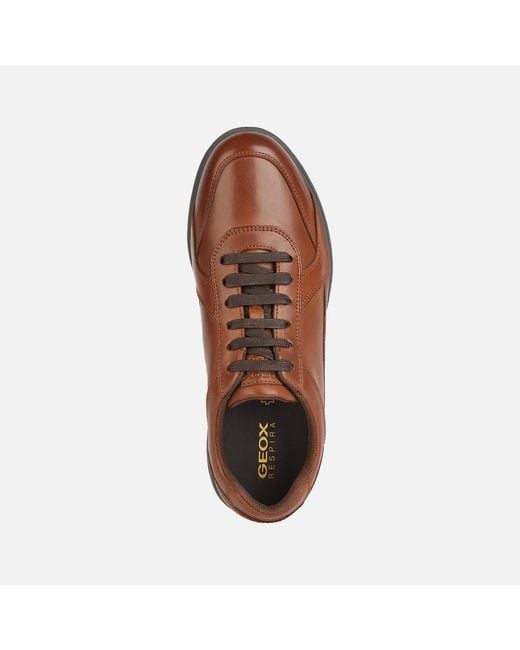 Geox Brown Spherica Ec12 for men