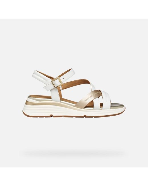 Geox Metallic Elowynne