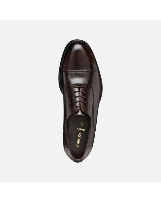 Geox Brown Barberigo for men