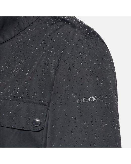 Geox Blue Renny for men