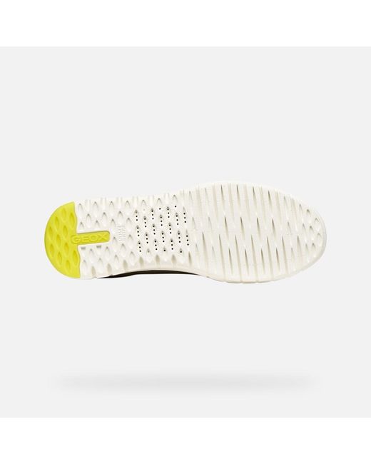 Geox Green Flextride Plus for men