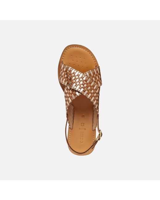 Geox Brown Maddalusia C