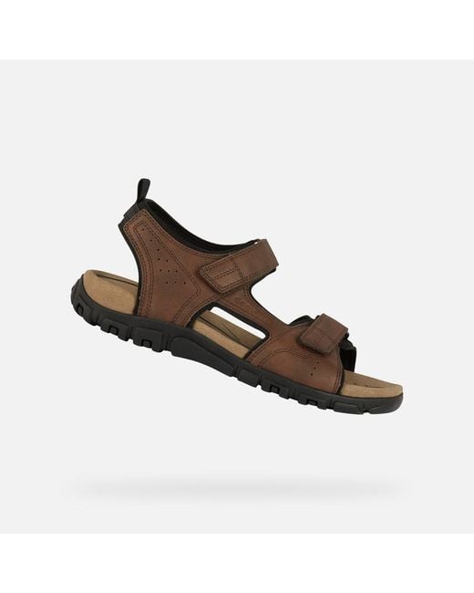 Geox Brown Strada for men