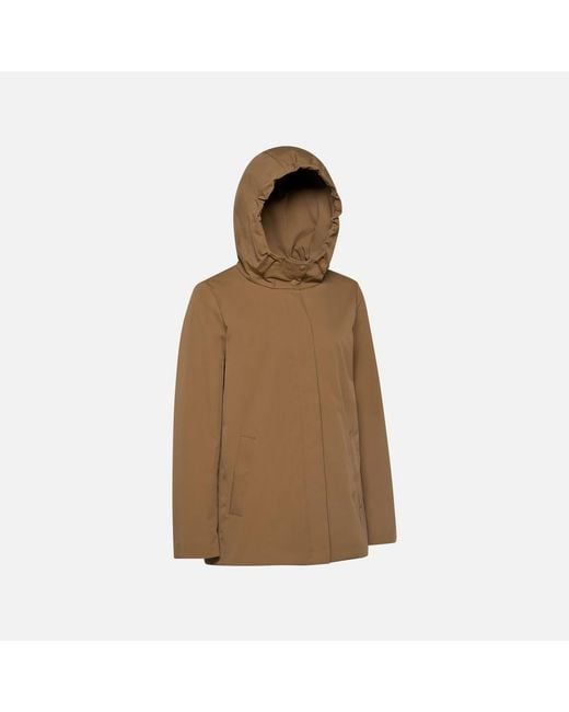 Geox Brown Spherica