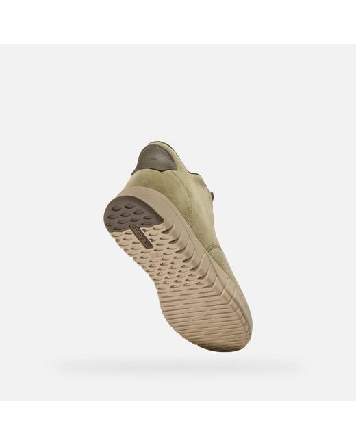 Geox Green Flextride Plus for men