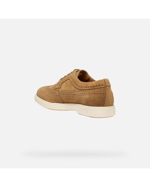 Geox Brown Spherica Ec17 for men