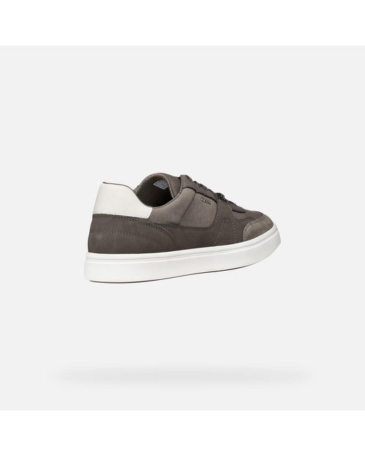 Geox Gray Baltmoore for men
