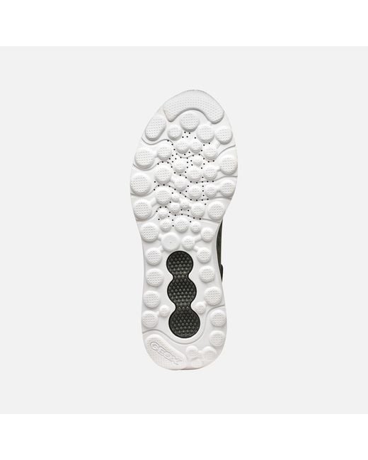 Geox Green Spherica Actif X1 for men