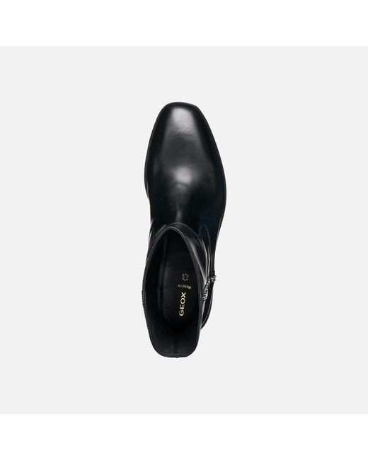 Geox Black Eliebeth