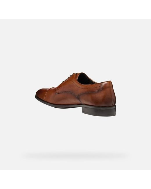 Geox Brown Thalos for men