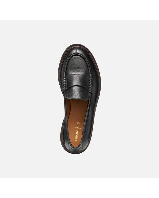 Geox Black Norize