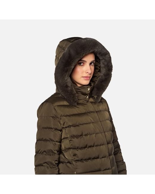 Geox Brown Bettanie