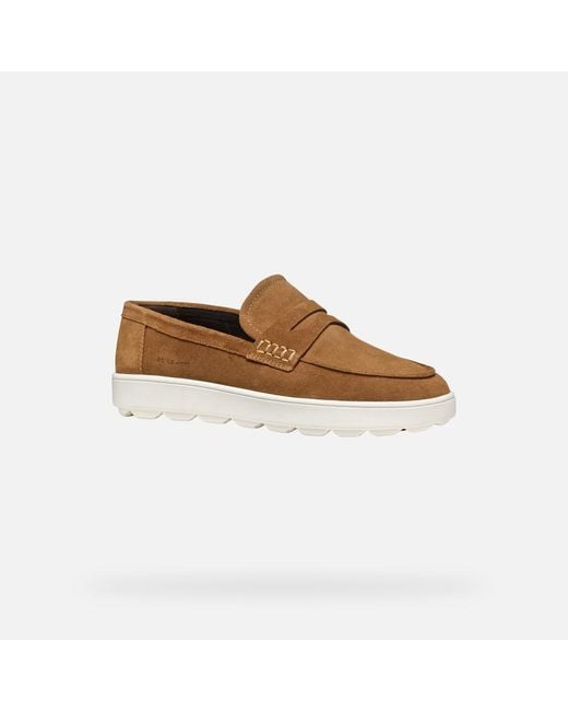 Geox Brown Spherica Ecub-1 for men