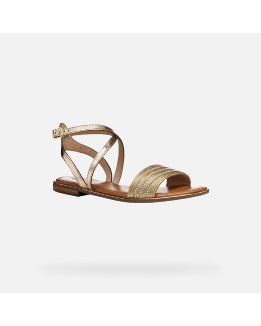 Geox Metallic Sozy Plus