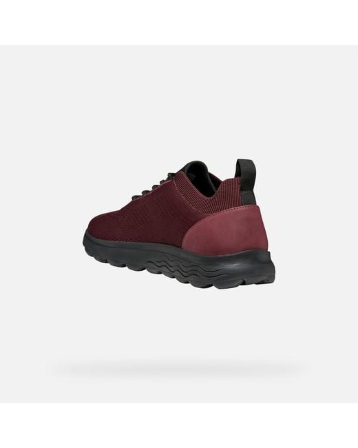 Geox Schuhe Spherica Herr in Red für Herren