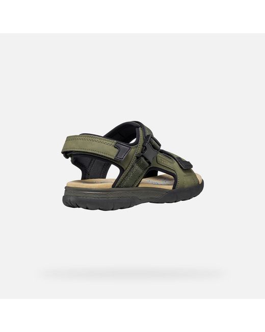 Geox Green Spherica Ec5 for men