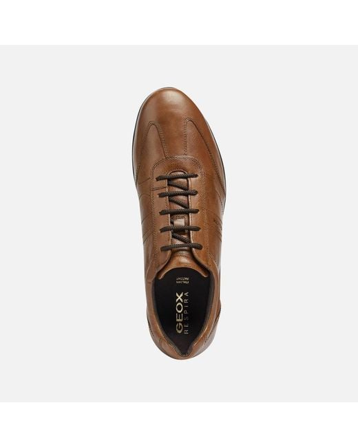 Geox Brown Symbol for men