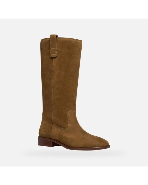 Geox Brown Schuhe Eliebeth Dame