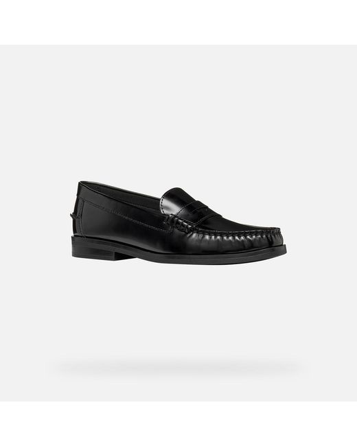 Geox Black Noemen