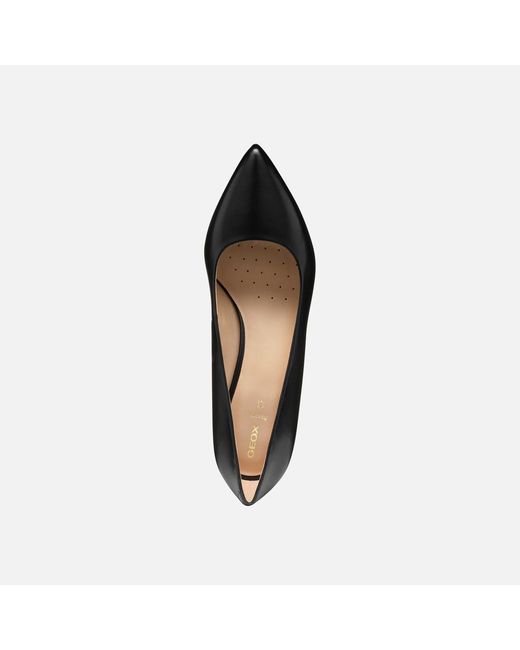 Geox Black Kleopy