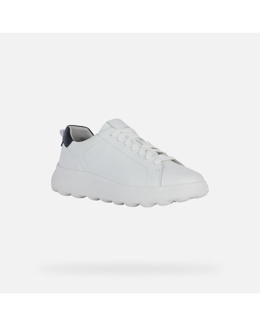 Geox Schuhe Spherica Ec4.1 in White für Herren