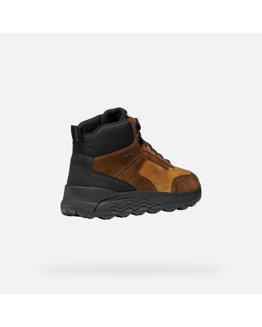 Scarpe Spherica 4X4 Abx Uomo di Geox in Brown da Uomo