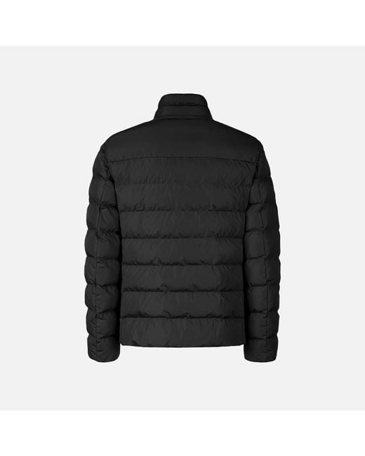 Vêtements Snake 2.0 Homme Geox pour homme en coloris Black