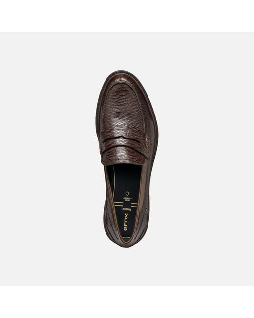 Geox Brown Walk Pleasure B
