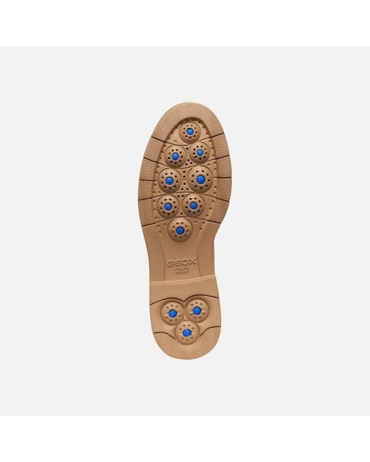 Geox Natural Spherica Ec1 B