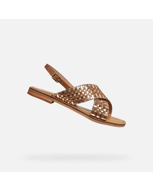 Geox Brown Maddalusia C