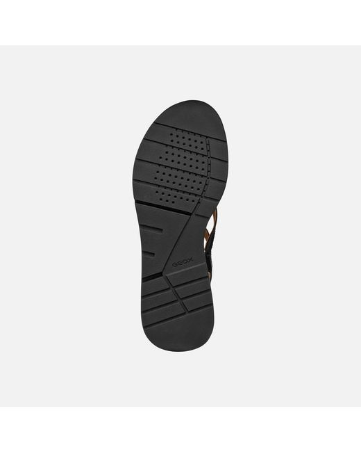 Geox Black Elowynne