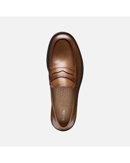 Geox Brown Medos for men