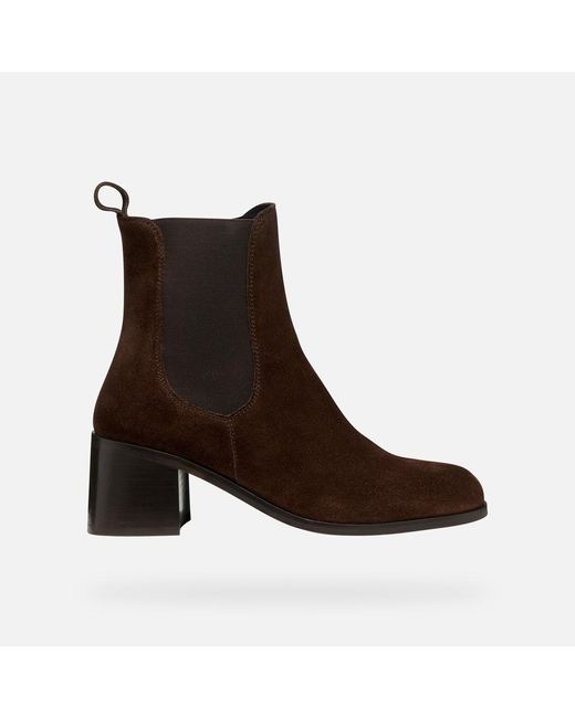Geox Brown Alnoire