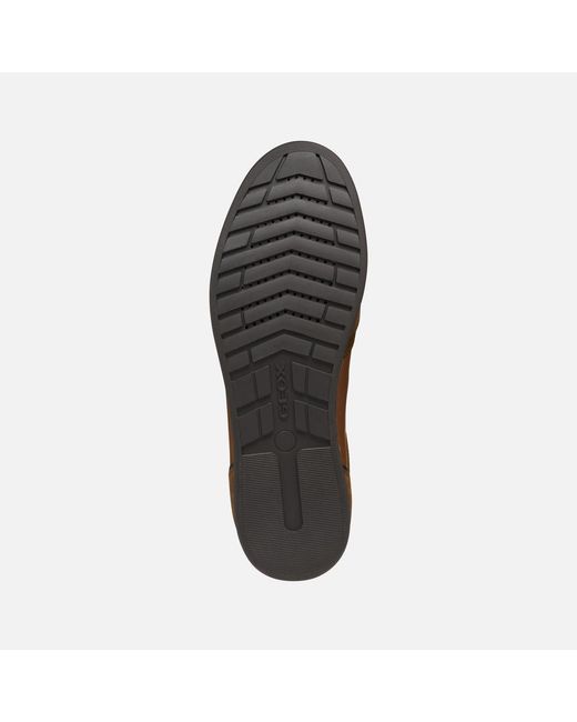 Geox Brown Renan for men