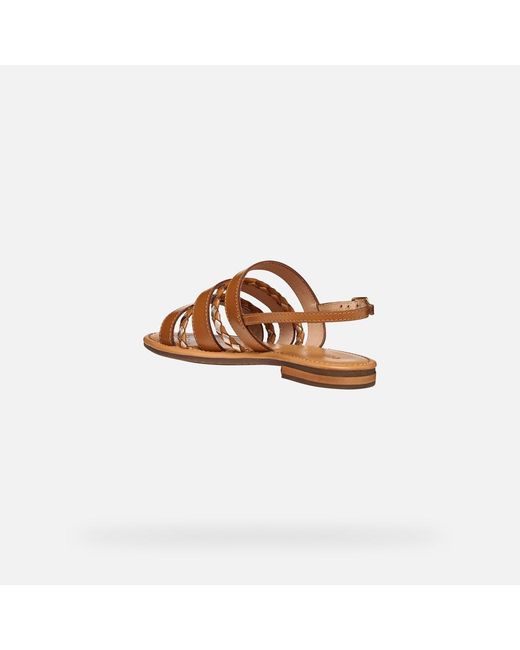 Geox Brown Sozy S