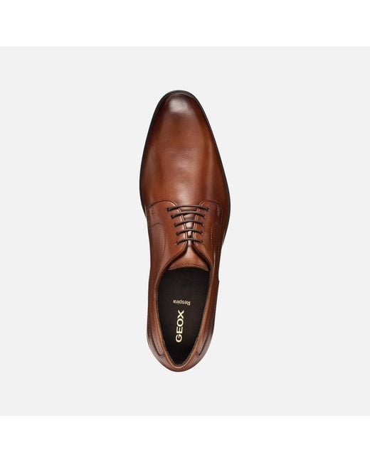 Geox Brown Thalos for men