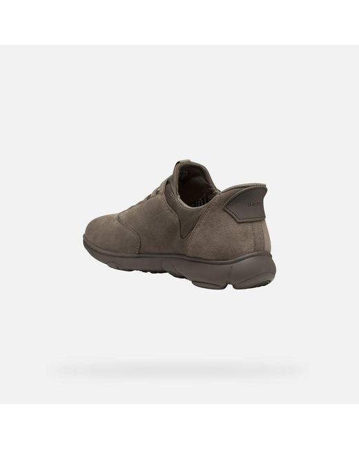 Geox Brown Nebula 2.0 Plus for men