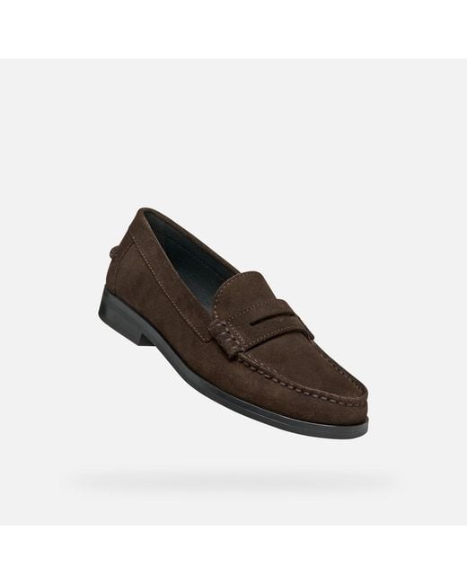 Geox Brown Noemen