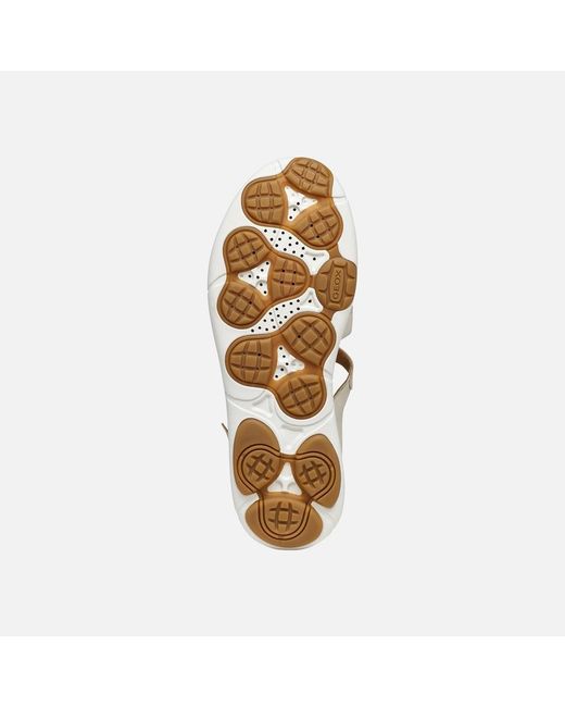 Geox White Nebula 2.0 C S