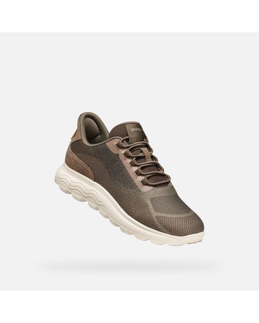 Geox Brown Spherica Plus Taupe/Dark