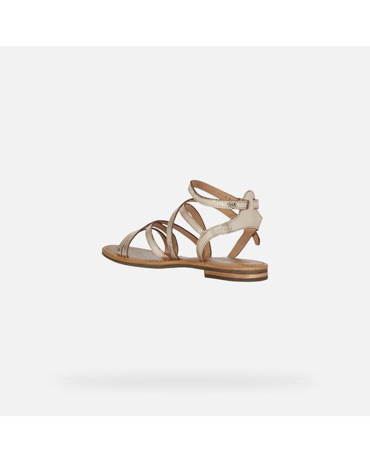 Geox Metallic Sozy S