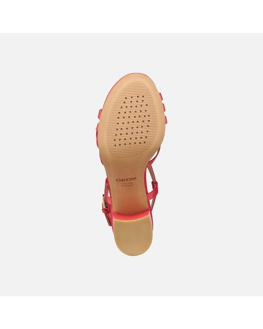 Geox Red Virnilisa 65 S