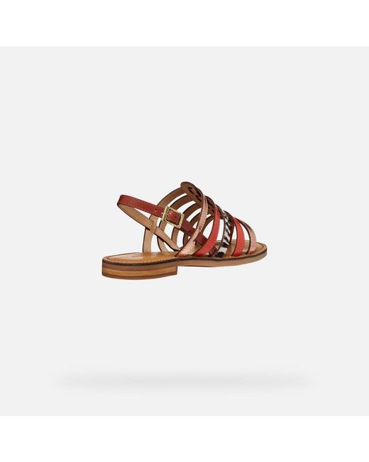 Geox Brown Maddalusia C