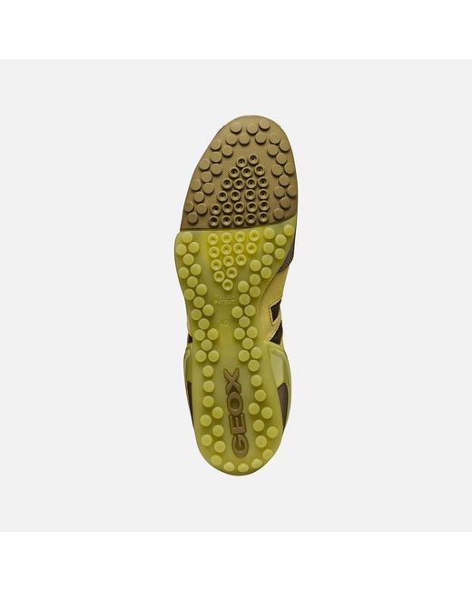 Geox Green Archive Snake for men