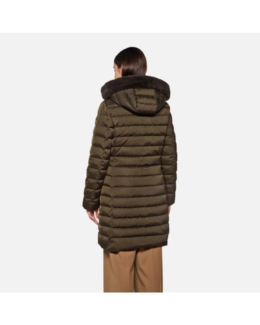 Geox Brown Bettanie