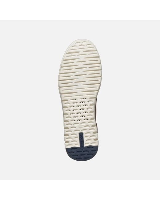 Geox Gray Flextride Plus for men