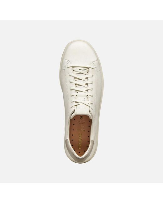 Geox White Spherica Ecub-1 B for men