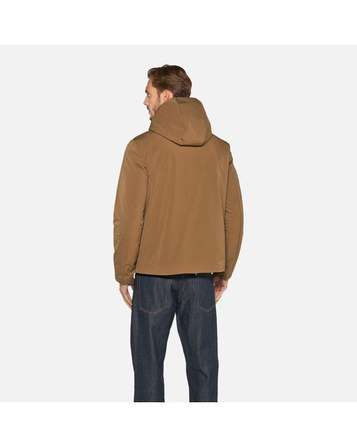 Geox Brown Spherica for men