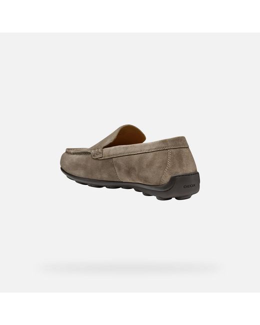 Geox Gray Spherica Ec16 for men