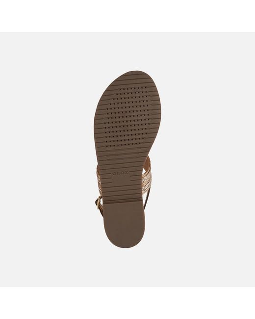 Geox Multicolor Sozy Plus